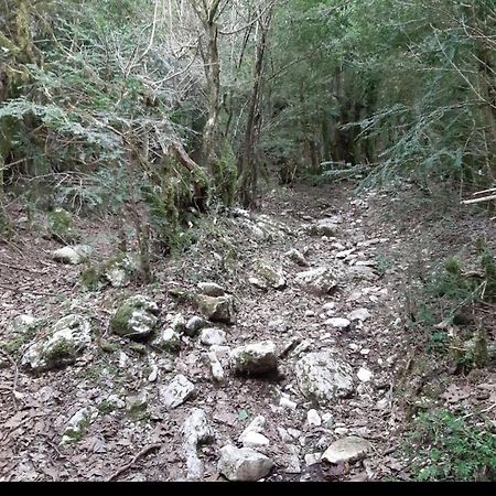 Hamiti Camping Center Dukat Dış mekan fotoğraf