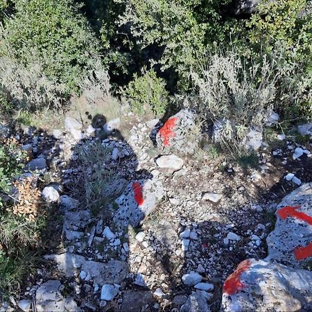 Hamiti Camping Center Dukat Dış mekan fotoğraf