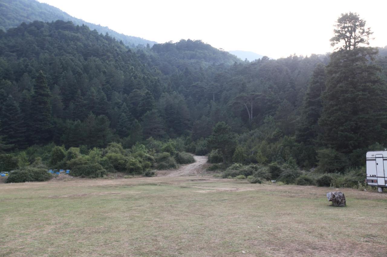 Hamiti Camping Center Dukat Dış mekan fotoğraf