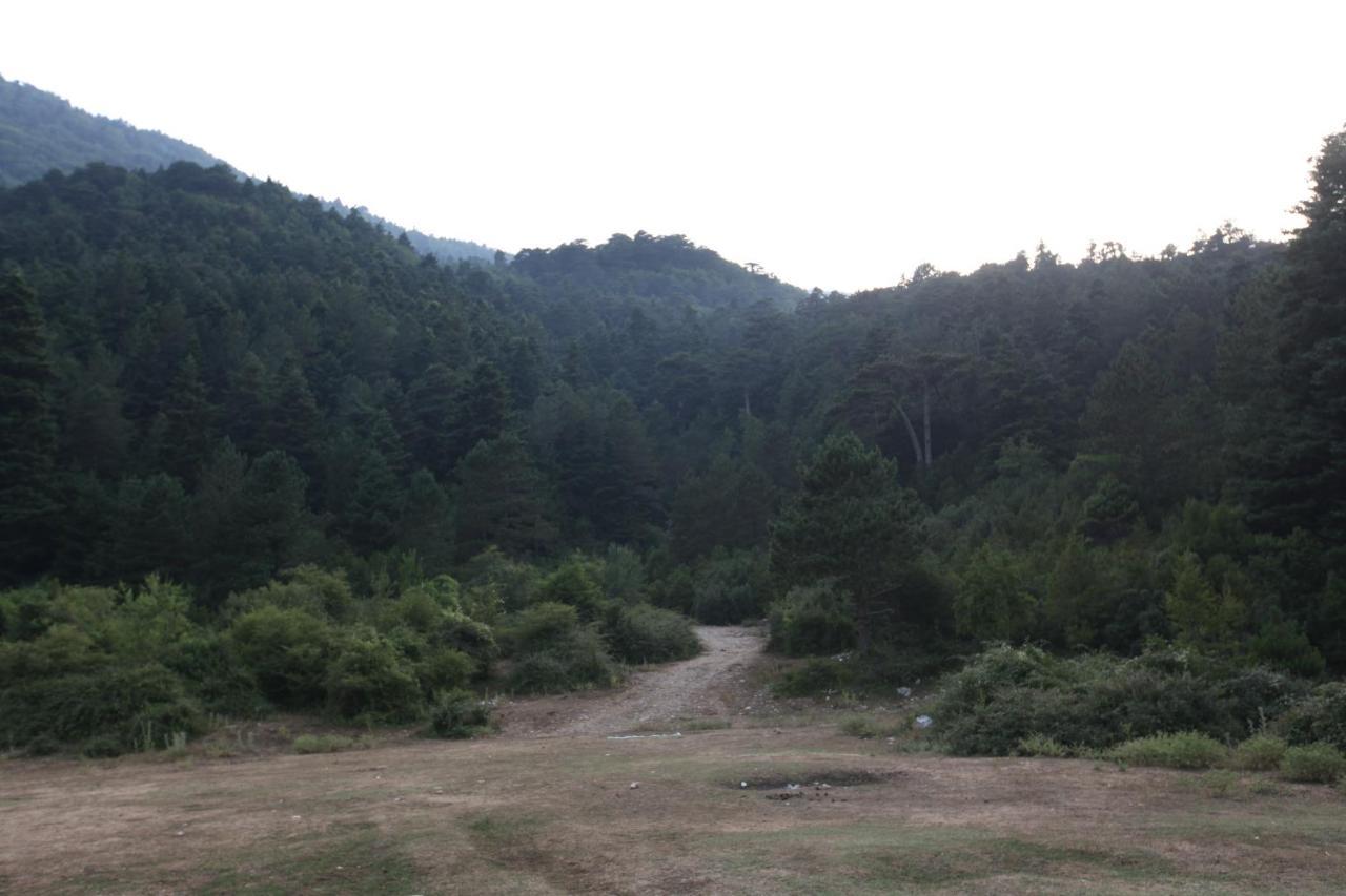 Hamiti Camping Center Dukat Dış mekan fotoğraf