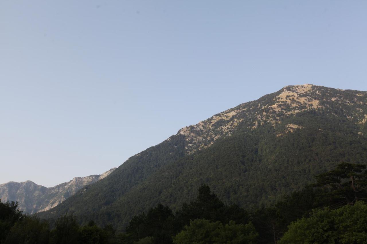 Hamiti Camping Center Dukat Dış mekan fotoğraf