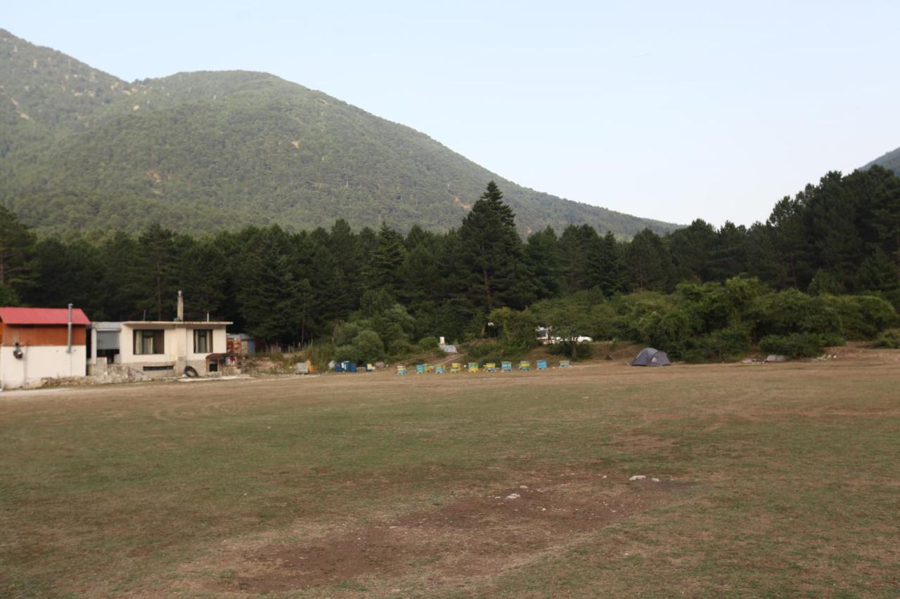 Hamiti Camping Center Dukat Dış mekan fotoğraf