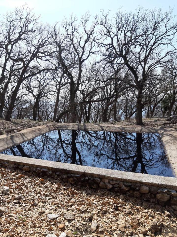 Hamiti Camping Center Dukat Dış mekan fotoğraf